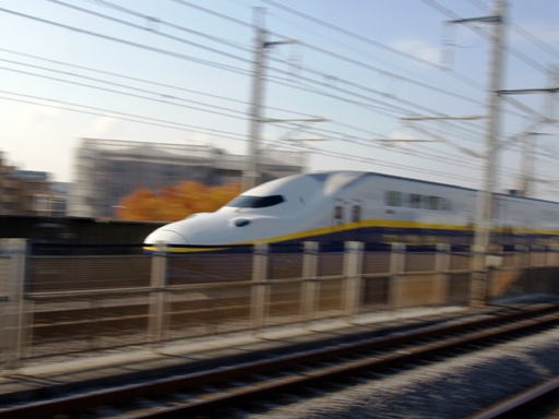 �V����(�˓c�����w)