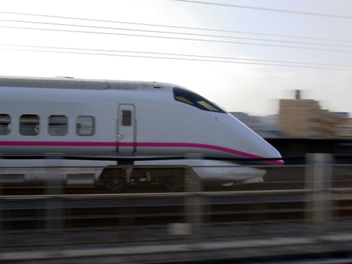 �V����(�˓c�����w)