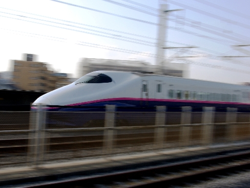 �V����(�˓c�����w)