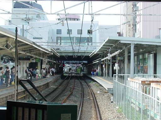 �����a�m���w(�ԑ�)