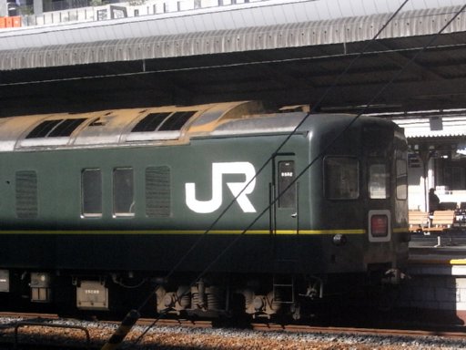 �g���C���C�g�G�N�X�v���X10����/�d���ו���/�J�j24�`(���s�w)