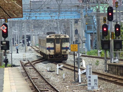 �L�n147(�����q�w)