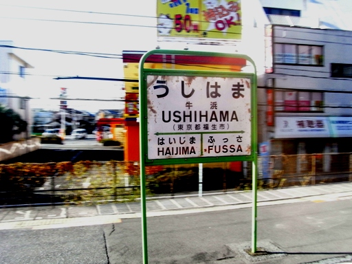 ���l�w�w���W