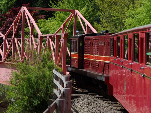 �J���u���A(�l���\���w)