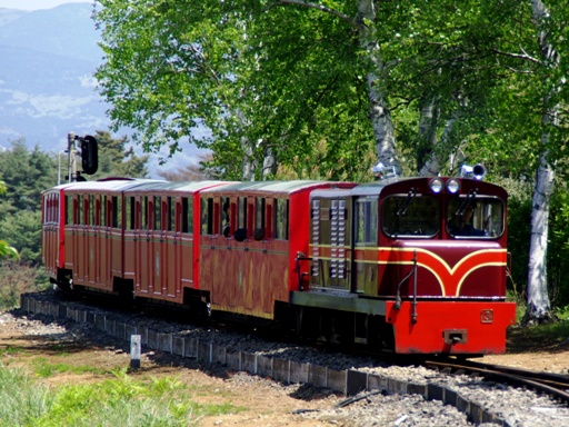 �J���u���A(�����j�[�w)