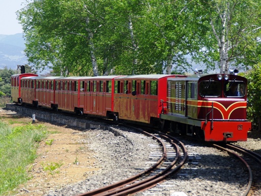 �J���u���A(�����j�[�w)