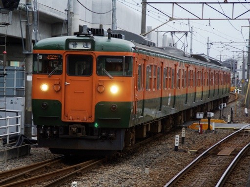 115�n(�ɐ���w)