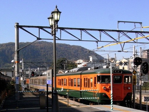 ���ʗ��(���㗒�R�w)