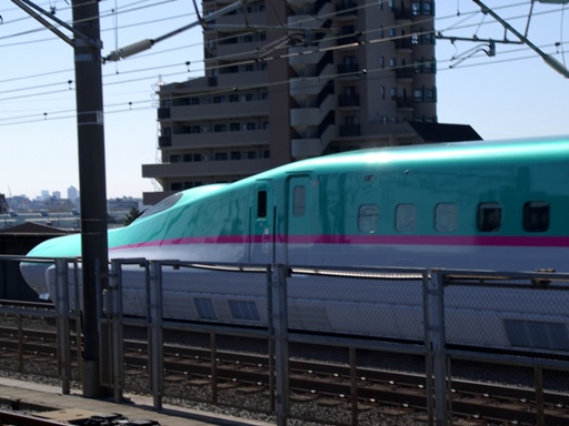 E5�n�͂�Ԃ��i�˓c�����w�j