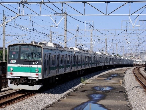 205(���Y�a�w)