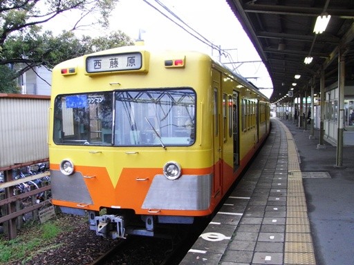 801�n(�ߓS�x�c�w)