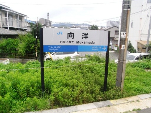 ���m�w�w���W