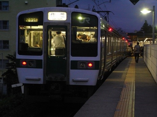 719�n(���Ƌ{�w)