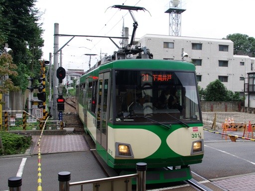 301(�O�������w)