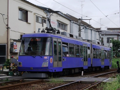 307(�O�������w)