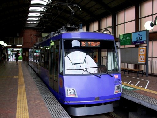 307(�O�������w)