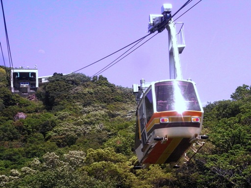 �ԗ�(�V���c�w-�Q�p�R�w)