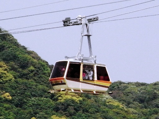 �ԗ�(�V���c�w-�Q�p�R�w)