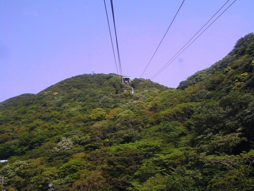 �ԑ�(�V���c�w-�Q�p�R�w)