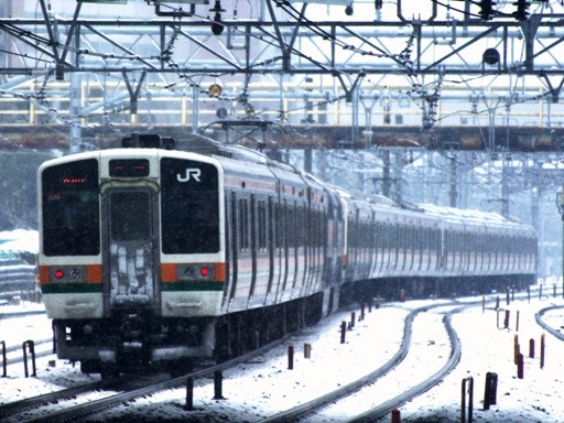 211�n�F�s�{��(2008-2-3 �n)