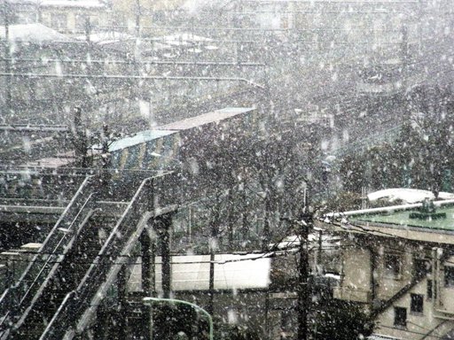 EF65(2008-1-23 �n)