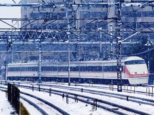 ���}�X�y�[�V�A(2008-2-3 �n)