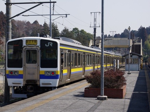 211�n(����X��w)