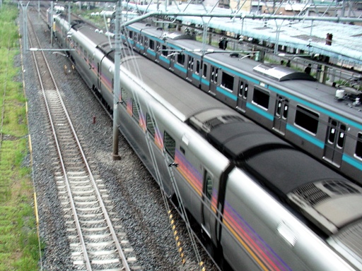 �J�V�I�y�A�i�n�w�t�߁j