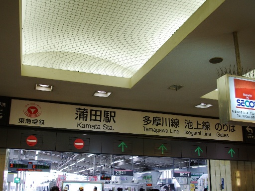 ���c�w���D��