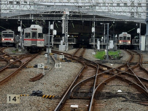 �ԑ�(���c�w)