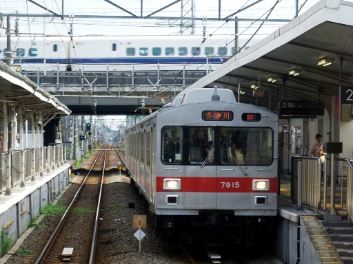 ��ԁ{�V����(����)