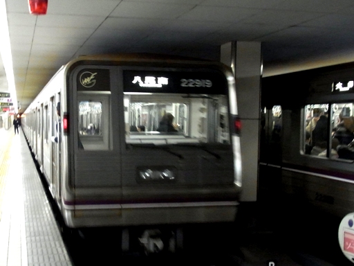 22�n22919(���~�c�w)