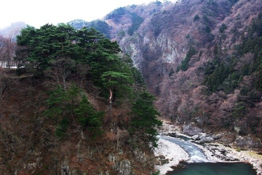 ���i(�S�{�쉷��w�t��)