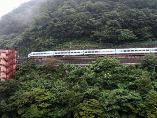 100�n�X�y�[�V�A(�S�{�쉷��w�t��)