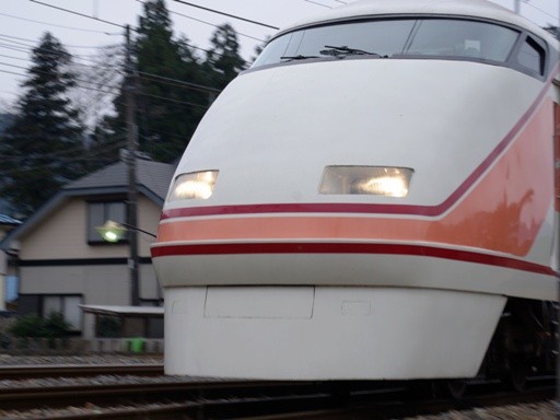 �X�y�[�V�A(�S�{�쉷��w�t��)