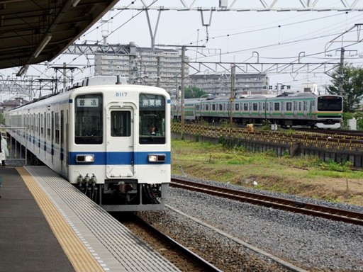 8117/E231(�I���w)