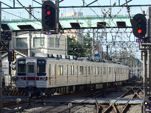 11644(�a���s�w)