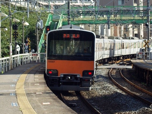 50001(�����w)