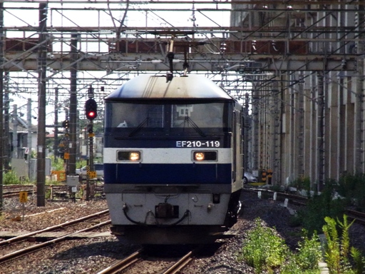 EF210-119(���R�w)