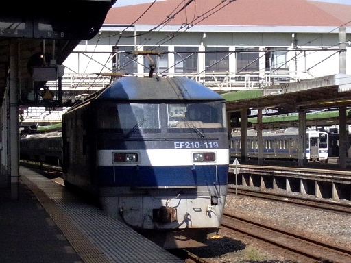 EF210-119(���R�w)