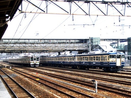 115�n�P����/211(�F�s�{�w)