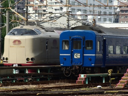 ���}�͂�Ԃ��ƃT�����C�Y(�i��w)