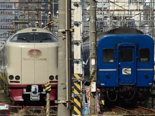 ���}�͂�Ԃ��ƃT�����C�Y(�i��w)