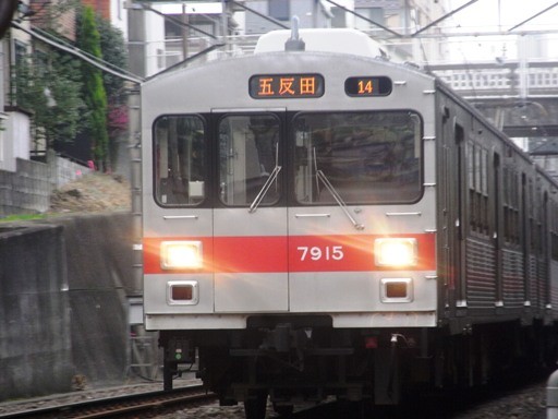 7700�n7915(�ˉz����w)