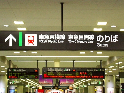 ���������w