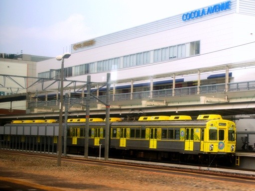 1800�n1807�Ȃ̂͂ȍ�(�V�L���w)