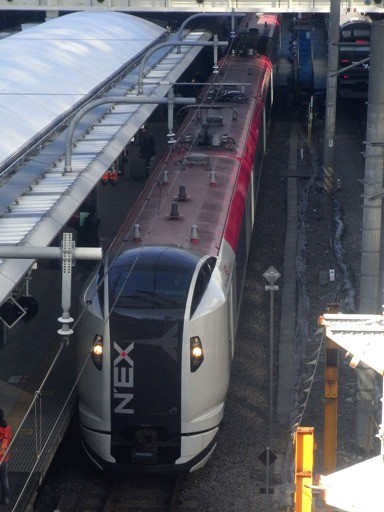 E259�n���c�G�N�X�v���X(�V�h�w)