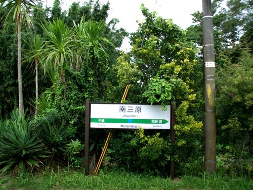 ��O���w�w���W