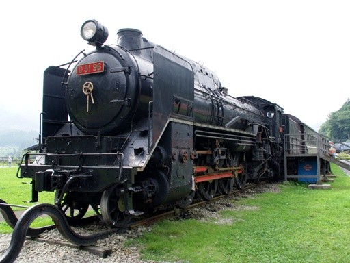 D51-96(�S���Ԃ񂩑�)