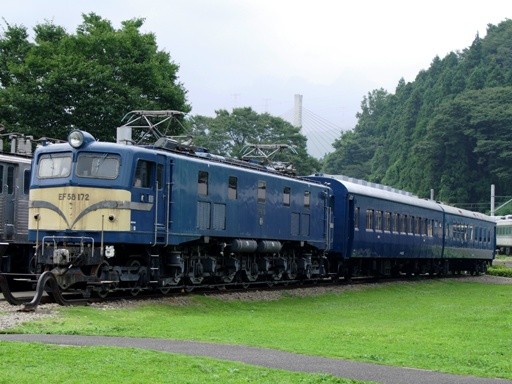 EF58-172(�S���Ԃ񂩑�)